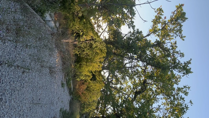 Краснодарцы принимают участие в санитарном марафоне ко Дню Победы