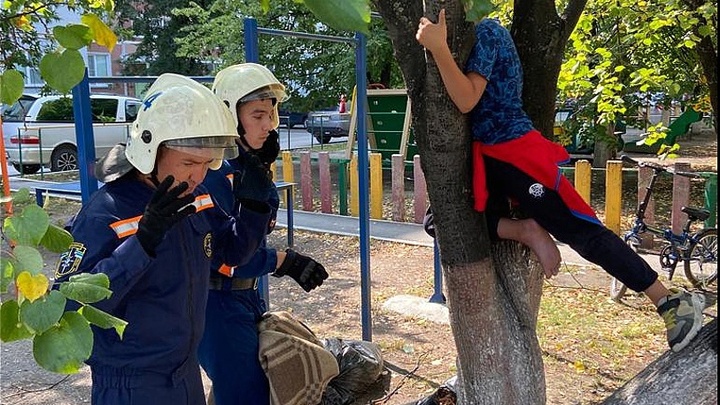 Спасатели сняли с дерева застрявшего ребенка в новосибирском Академгородке