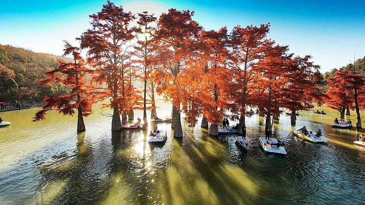 На Кубани открыли новый туристический маршрут: узнали, что в него включено