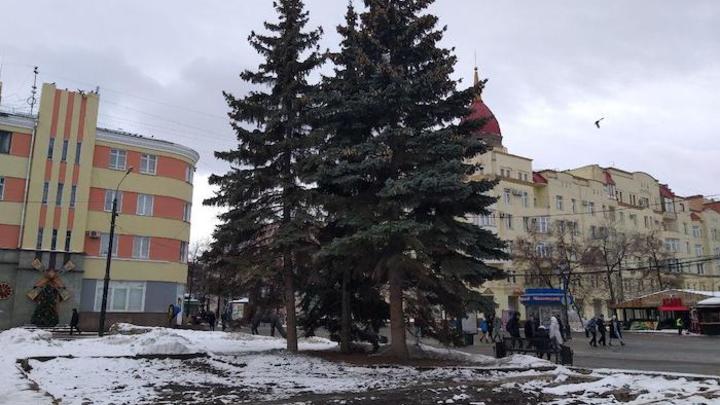 В Челябинске модницу убрали с Кировки