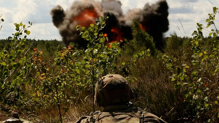 Украину - на части: Британский профессор озвучил новый тренд Запада