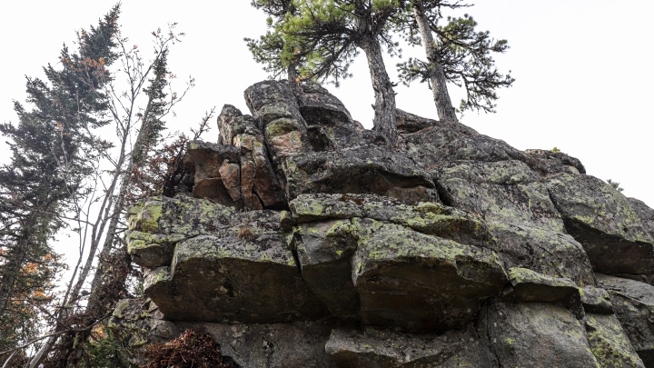Все эти волонтёры бегают не там: Усольцевы могли сменить маршрут. Вот что говорят близкие и эксперты