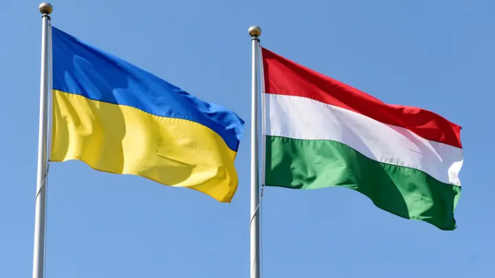 Штир: агрессия Зеленского повышает шансы Орбана на переизбрание