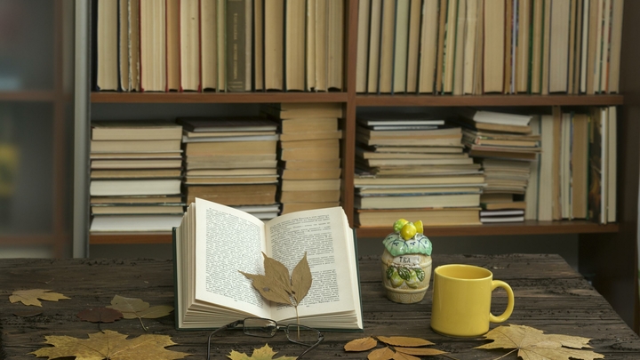 Хинштейн опроверг запрет книг из ЛГБТ*-списка