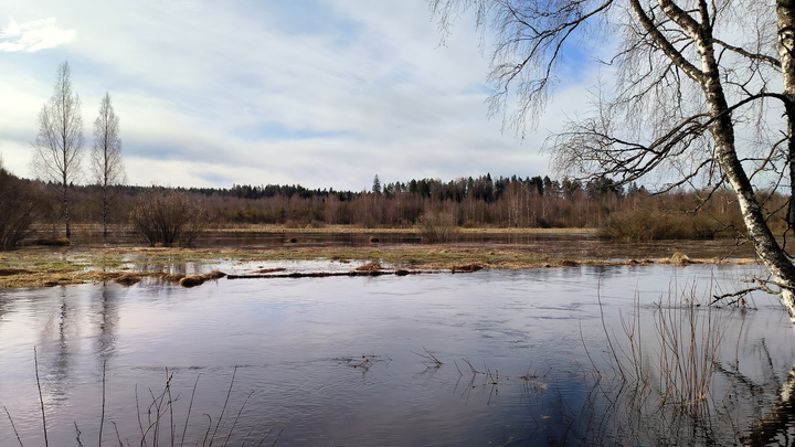 В реке Тобол вода поднялась ещё на 14 см за ночь