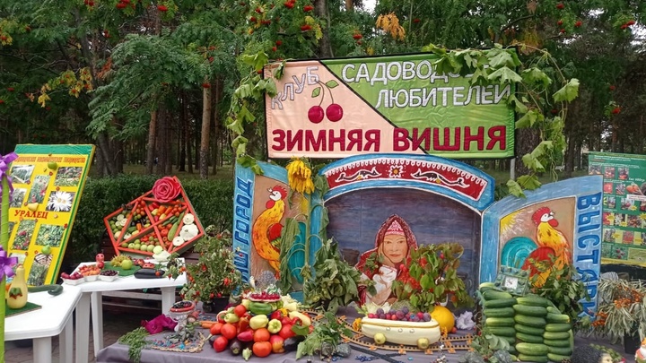 XX выставка цветов и плодов в Челябинске: когда состоится, программа