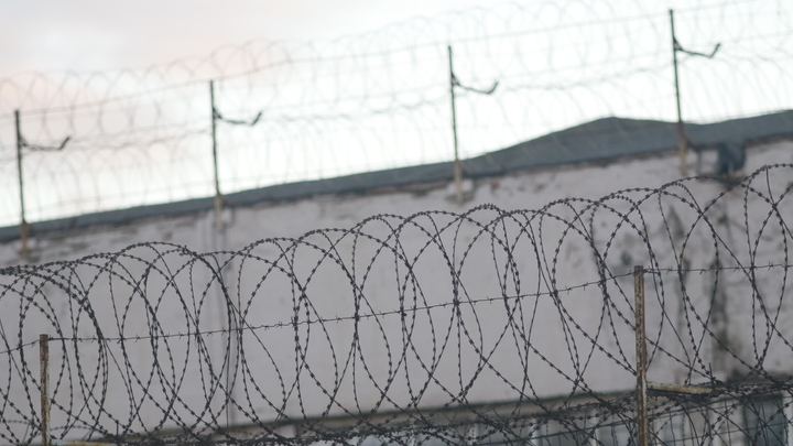 На Ямале осудили людоеда, заявившего об убийствах по приказу мёртвой кошки