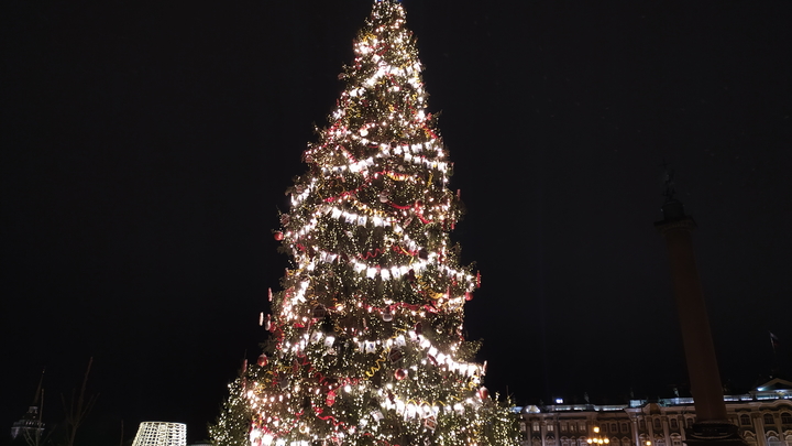 Главную ёлку Петербурга трансформируют в часы