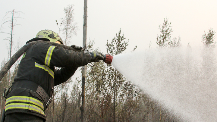 В Геленджике потушили возгорание лесной подстилки