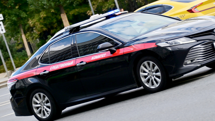 В ДНР задержали убийц семьи с детьми