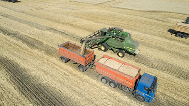 В Запорожской области напомнили о субсидиях для сельхозпроизводителей региона