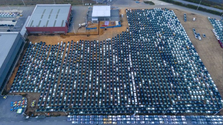 Японцы так сильно наказали русских, что сами начали плакать