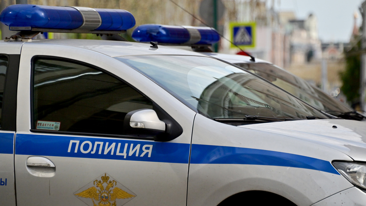 В Петербурге задержали подростков-неадекватов, которые напали на бабушку прямо под камерами