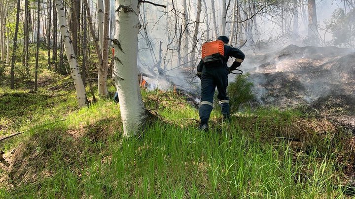 На Урале площадь горящих лесов за сутки возросла в 33 раза