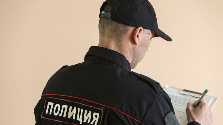 В Кохме девушка пошла под суд за оскорбление полицейского
