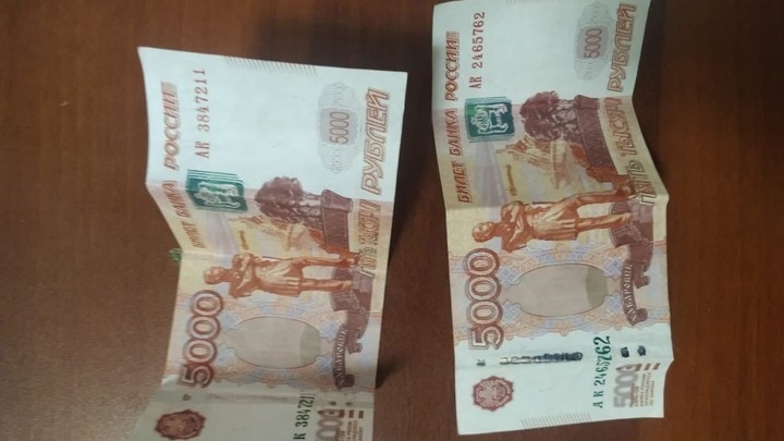 В Ростовской области задержали двух жуликов, которые меняли фальшивые деньги на настоящие