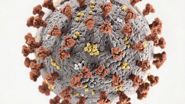 Заболевшего оспой обезьян жителя Домодедово выписали