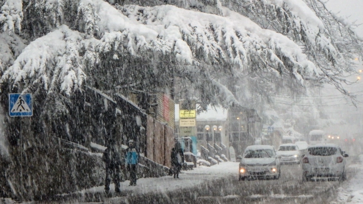 Синоптик Тишковец: Краснодарский край накрыли аномальные снегопады