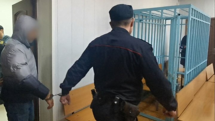Следком: четверым похитителям второклассницы из Калужской области предъявлено обвинение