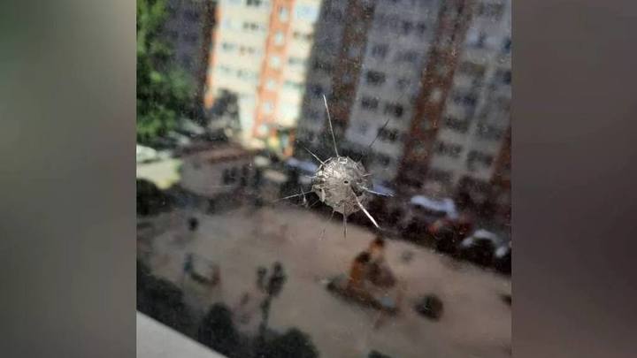 Полиция Краснодара проводит проверку по факту стрельбы по окнам многоэтажки