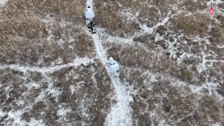 Волки да Винчи сложили оружие в Запорожье после операции штурмовиков ВС России