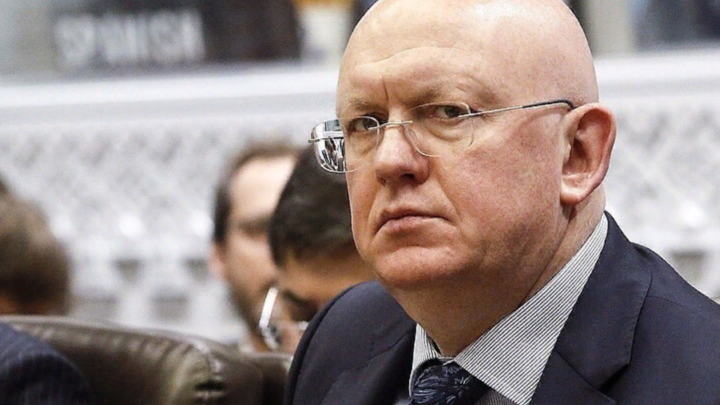 Запад должен снять санкции с сельхозэкспорта России. Небензя озвучил сроки