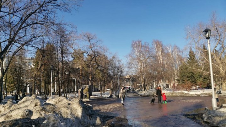 Полчаса – и машина грязная: Жители Новосибирска пожаловались на весеннюю пыль