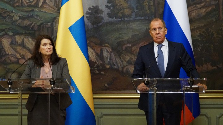 Этот храбрый, выносливый народ нужно срочно обложить санкциями: Шведская журналистка - о России