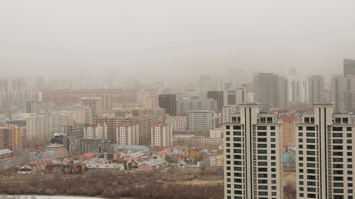 Барнаульцев собрались переселять в притон бомжей