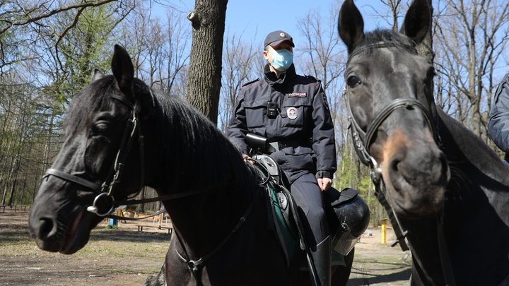 Избил модель в прямом эфире: это видели 70 тысяч человек. Mellstroy стал фигурантом уголовного дела
