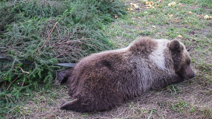 Сон с пятницы на субботу: влияние планет, значения