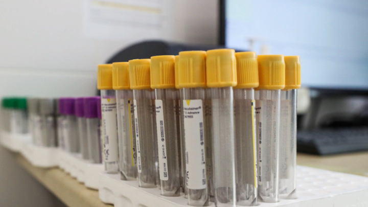 Британцы разработали способ лечения рака: В ход идут грибковые токсины