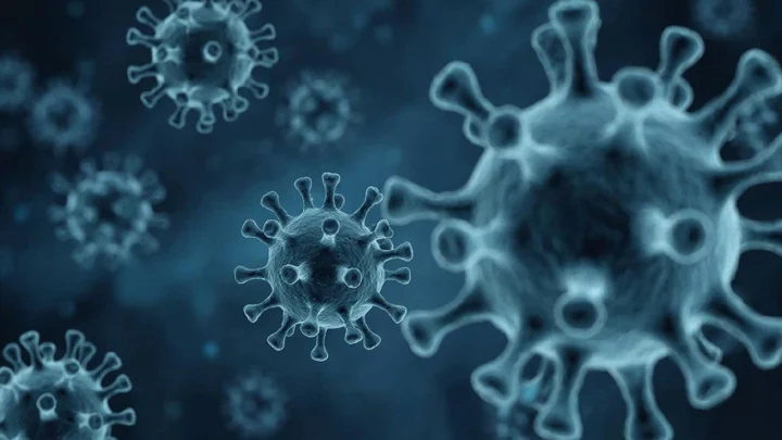 Роспотребнадзор: волна заболеваемости гриппом накрыла Подмосковье