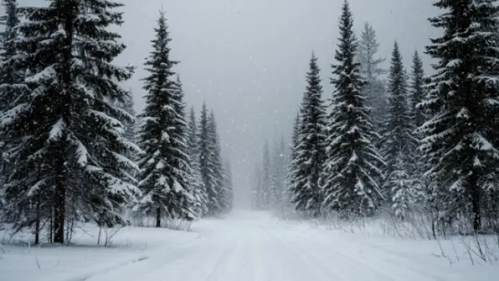 Друг семьи Усольцевых опроверг одну из популярных версий исчезновения семьи: Чересчур лояльное даже