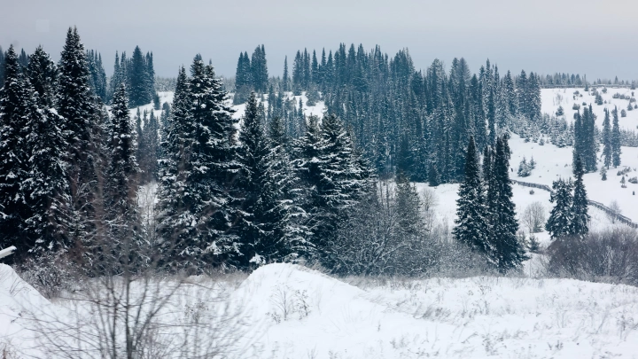 «Самый добрый вариант»: знакомые пропавших Усольцевых верят, что они живы «Самый добрый вариант»: знакомые пропавших Усольцевых верят, что они живы