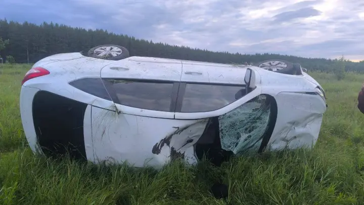 Водитель погиб, столкнувшись с лосем в Челябинской области