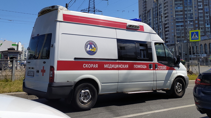 Для Новосибирской области закупят 28 скорых и 4 реанимобиля