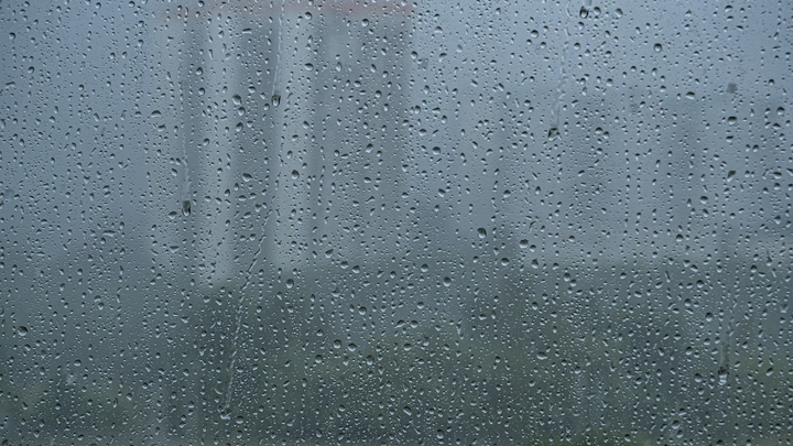 Сочинский нацпарк закрыт из-за непогоды