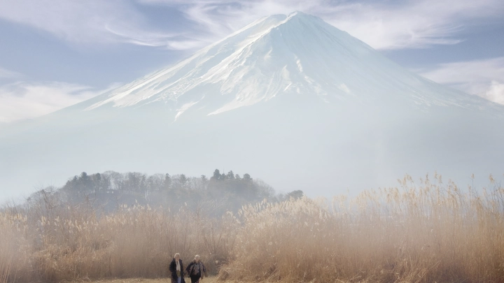 Токио объявил о закрытии всех шести японских центров в России