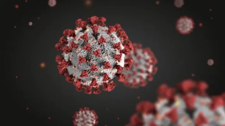 Трамп раскрыл тайну появления пандемии COVID-19