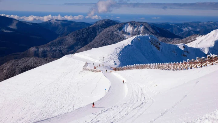На «Розе Хутор» приостановили продажи ски-пассов из-за отсутствия снега