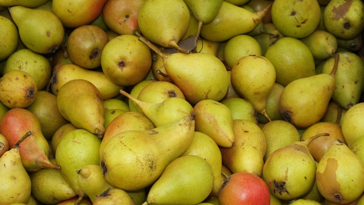 Диетолог рассказала, кому не стоит есть груши: Каменистые клетки