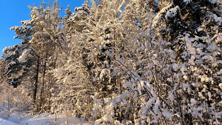 Мэр Сочи Алексей Копайгородский предупредил жителей и гостей курорта о непогоде