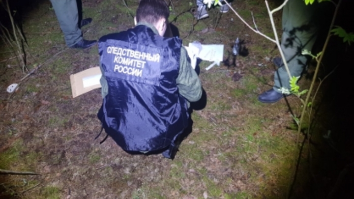Жители Большого Козино сохраняют записи с регистраторов, чтобы найти убийцу 12-летней девочки
