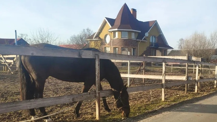 Семья из Новороссийска незаконно получили 700 тыс. рублей субсидий