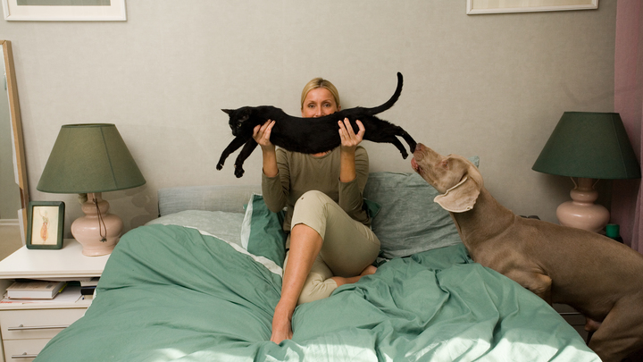 Терапевт рассказала, как нужно спать, чтобы высыпаться