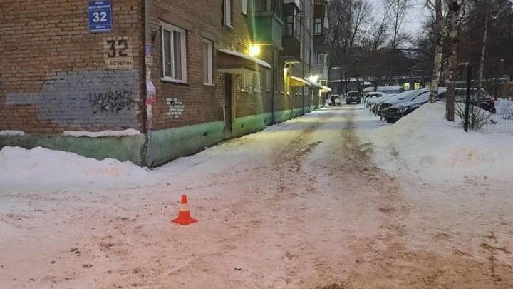 В Новосибирске будут судить женщину за наезд на ребёнка в санках