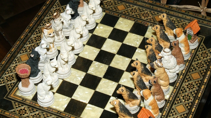 Украинских шахматисток отстранили за отказ выступить против российских спортсменов