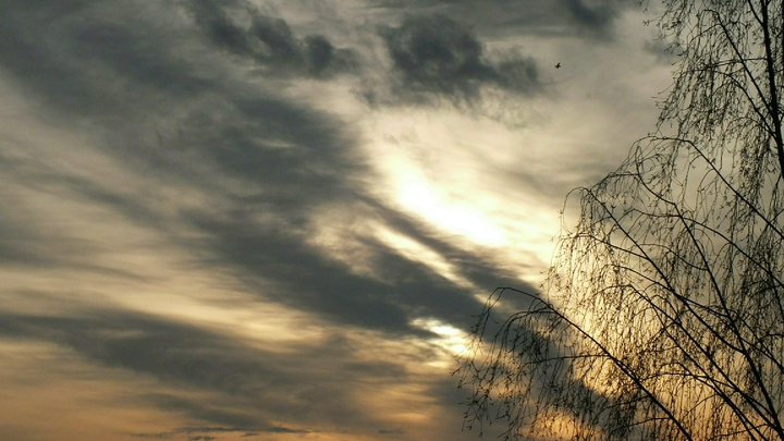 Погода в Ростове-на-Дону 22 апреля 2022: прогноз синоптиков