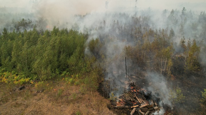 Причиной лесных пожаров в Рязанской области могли стать умышленные поджоги